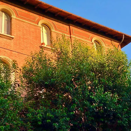 Bosco Bianco *